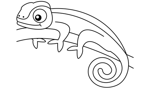 Dschungel